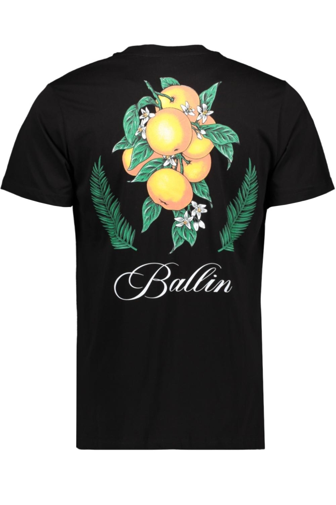 T SHIRT 2536 BLACK